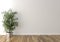 Solo interior plant and blank wall in background