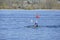 Solo kayaker paddles on Lake Washington