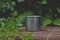 A solo metal tin mug on the bamboo table in the overgrown garden.