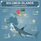 Solomon islands infographics, statistical data, sights