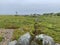 Solovki, Zayatskiy island, august. The ancient labyrinth.