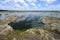 Solution Hole in Hole-In-The-Donut restoration area in Everglades National Park.