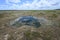 Solution Hole in Hole-In-The-Donut restoration area in Everglades National Park.