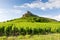 Solutre Rock with vineyards, Burgundy, France