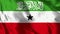 Somaliland Flag - Realistic 4K - 30 fps flag of the Somaliland waving in the wind.