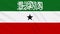 Somaliland flag waving cloth, ideal for background, loop