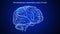 Somatosensory association area of human brain