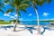 Sombrero Beach with palm trees on the Florida Keys, Marathon, Florida, USA. Tropical and paradise destination for vacation