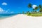 Sombrero Beach with palm trees on the Florida Keys, Marathon, Florida, USA. Tropical and paradise destination for vacation