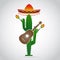 Sombrero cactus, guitar, maracas and hat icon