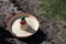 A sombrero hat lies on the floor, on the street, on the grass.