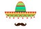 Sombrero and mustache icon template, vector isolated