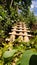 Some bamboo slats used as traditional bridges