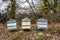 Some beehives at the edge of a lavender field, Provence