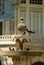 Some birds drink water in a fountain in a palace scene spot