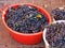 Some buckets full of fresh harvested blue grapes