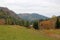 Some colorful cows graze on green grass against the background of forested mountains.