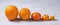 Some different orange citrus fruits, orange, tangerine, kumquat, stand in a row in size