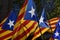 Some estelada, the catalan pro-independence flag