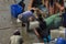 Some fishermen pushing a piece of ice to the boat, this is a part of preparation before going to sea for fishing