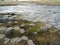 Some geometric shaped stones in Iceland, Kirkjugolf. The ground is made of basaltic rocks.