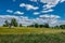 Some green and yellow fields with healty trees on it and a blue sky with white clouds