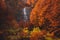 Some hikers in front of the Morricana Waterfalls in Monti della Laga, Abruzzo, Italy, in the full autumn season with red and