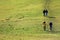 Some hikers on a green meadow on a sunny autumn day at Gmundnerberg