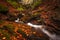 Some little falls in the forest in `Bosco della Morricana`, Ceppo, Abruzzo, Italy