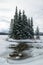 Some lone pines decorate the coastline of Two Jack Lake