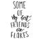 Some of my best friends are flakes