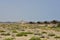 Some Omanese desert landscapes