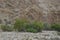 Some Omanese landscapes