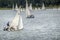 Some optimist dinghy sailing competition sailing