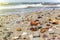 Some pieces of amber found on the Baltic seashore