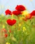 Some poppies on green field in a sunny day