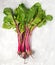 Some raw red beetroot with leaves on grey stone background. Square