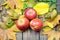 Some red ripe apples ranet on the wooden natural background. Autumn colorfulness, harvest concept