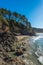 Some scenic view of the beach in Heceta Head Lighthouse State Sc