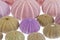 Some seashells of sea urchin on white background