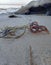 some seaweed washed up on the Balikpapan beach