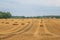 Some square straw bales lie on a field after the grain harvest