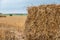 Some  square straw bales lie on a field after the grain harvest