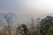 Some trees and large mountains under misty sky