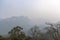 Some trees and large mountains under misty sky