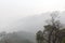 Some trees and large mountains under misty sky