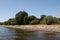 Some trees and the natural riverbank with a skyscraper in the background at the rhine river in cologne germany