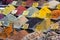 Some Turkish spices in the Grand Spice Bazaar. Colorful spices in sale shops in the Spice Market of Istanbul, Turkey