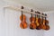 Some violins hanging in a luthier workshop