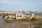 Some wrecks in the cemetery of boats at low tide